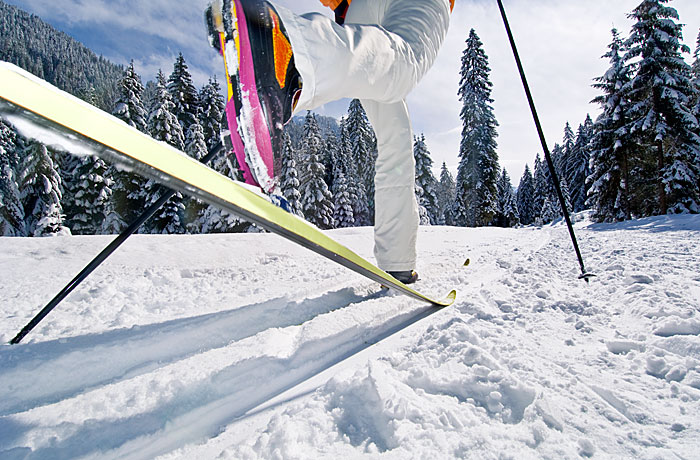 Quels skis de fond choisir