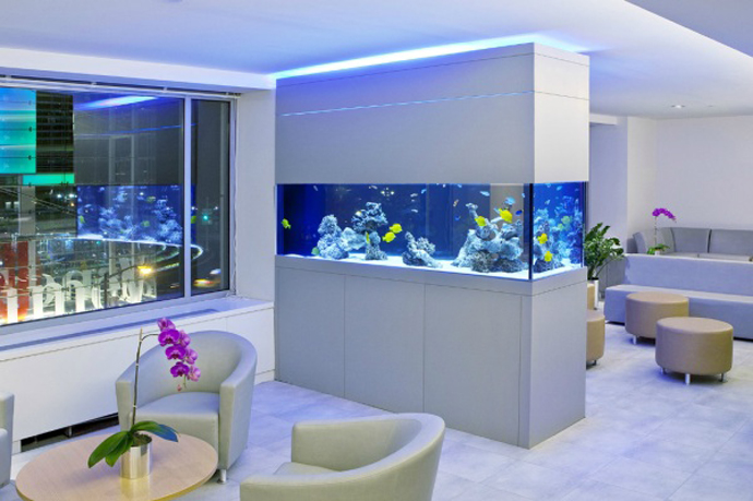 aquarium à l'intérieur