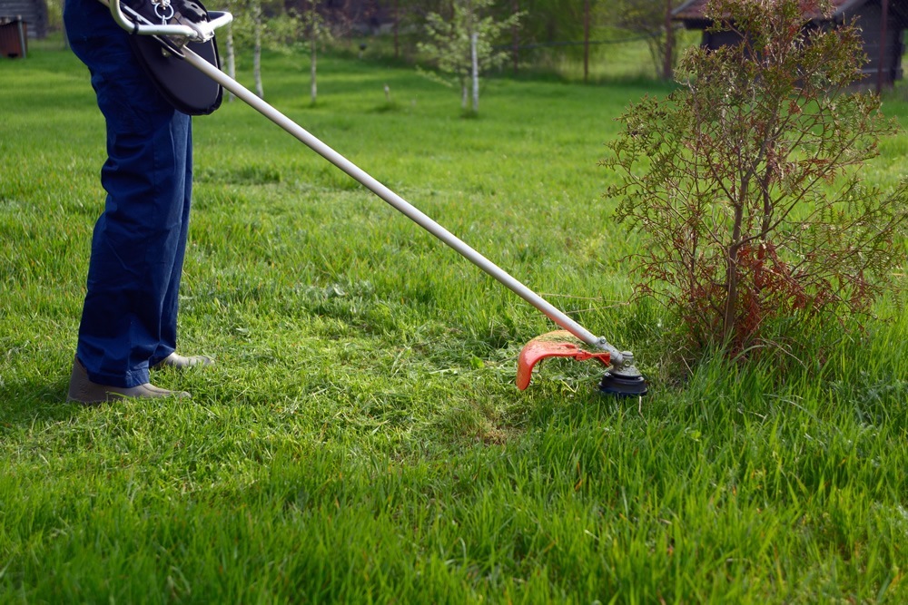 Comment choisir un coupe-herbe