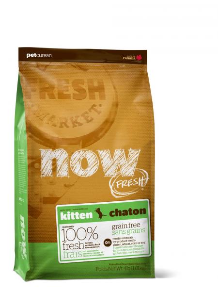 NOW Natural Recette de chaton sans grains frais holistique naturelle