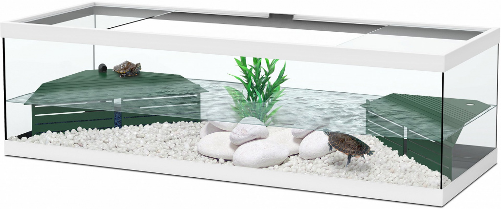 Aquatlantis TORTUM pour les tortues