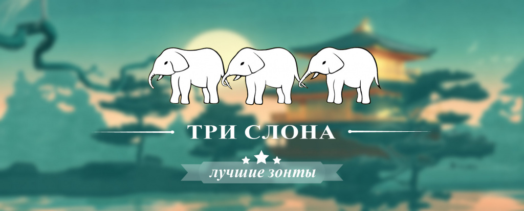 TROIS ELEPHANT.jpg