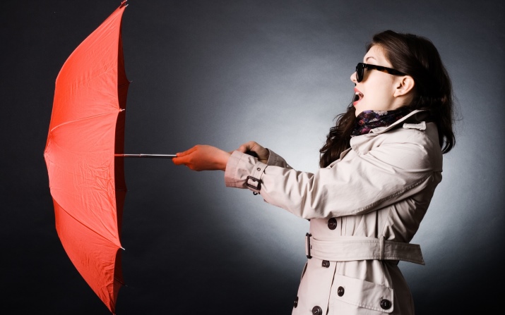 Variétés de mécanismes de parapluie