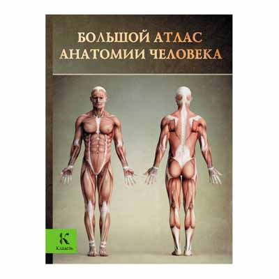 GRAND ATLAS D'ANATOMIE HUMAINE, VINSE PERES