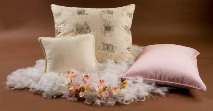 Plume et duvet