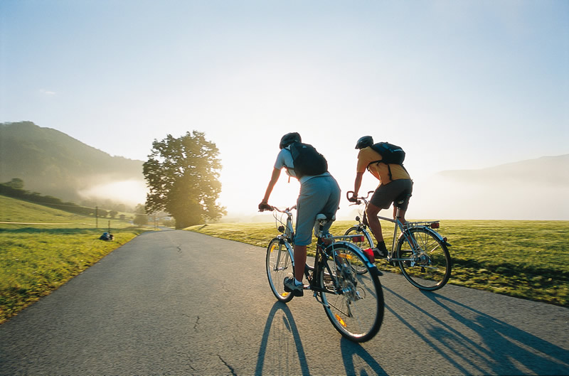 choisissez un vélo pour vos tâches