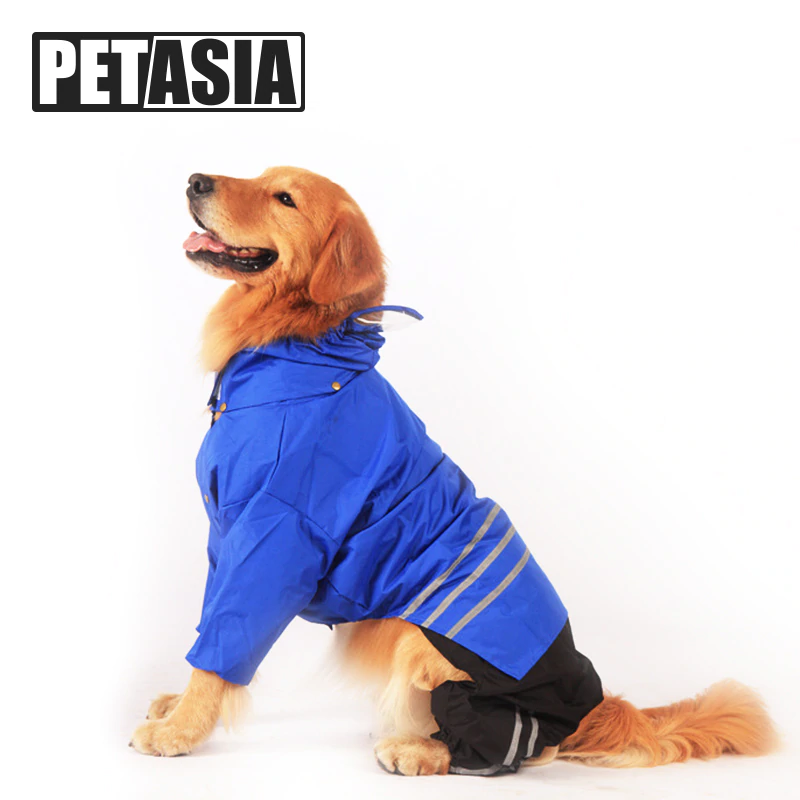 Petasia