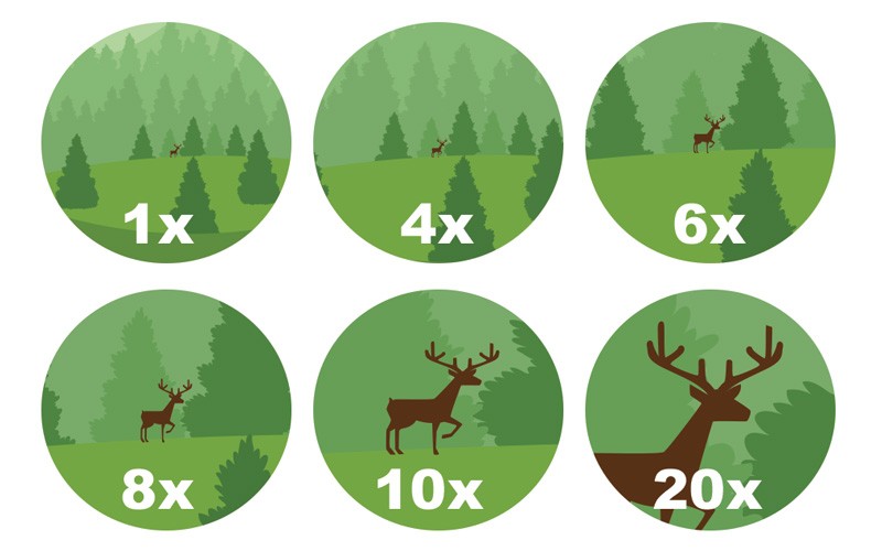 Choisir une jumelle à fort grossissement