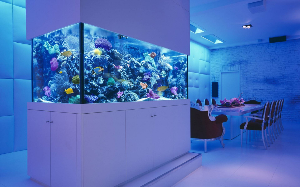 choisir un filtre pour l'aquarium