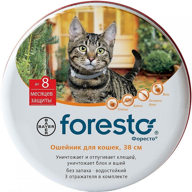 Foresto (Bayer) pour chat 38 cm