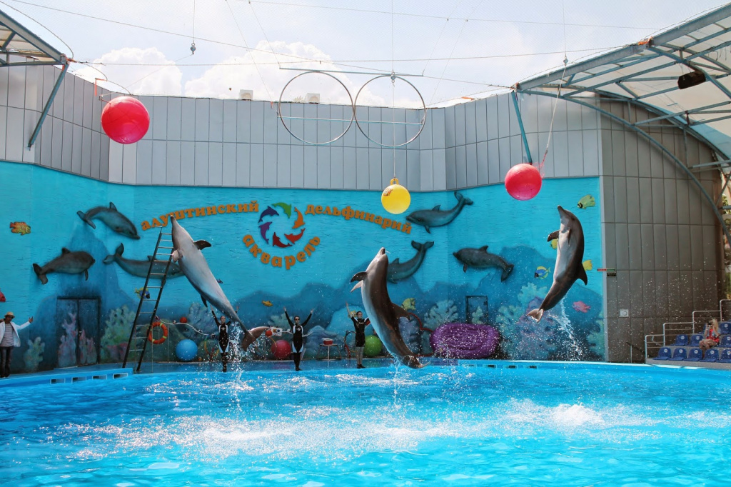 Dolphinarium d'Alushta