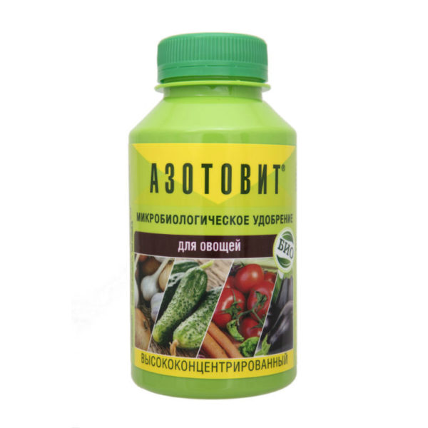 Engrais microbiologique Azotovit pour les légumes