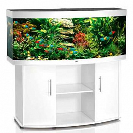 Comment choisir un aquarium