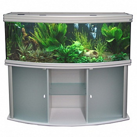 Classement des meilleurs aquariums selon les avis des clients