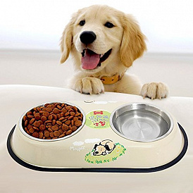 17 meilleurs aliments super premium pour chiens