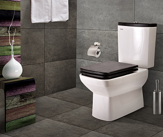 10 meilleures cuvettes de toilette sans monture