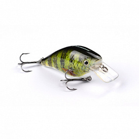 7 meilleurs wobblers perch