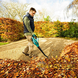 7 meilleurs aspirateurs de jardin