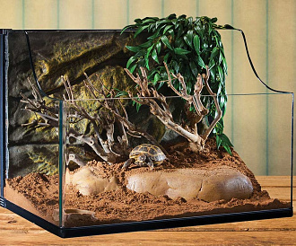 7 meilleurs terrariums