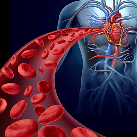 5 meilleurs anticoagulants