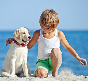 15 meilleures races de chiens pour enfants